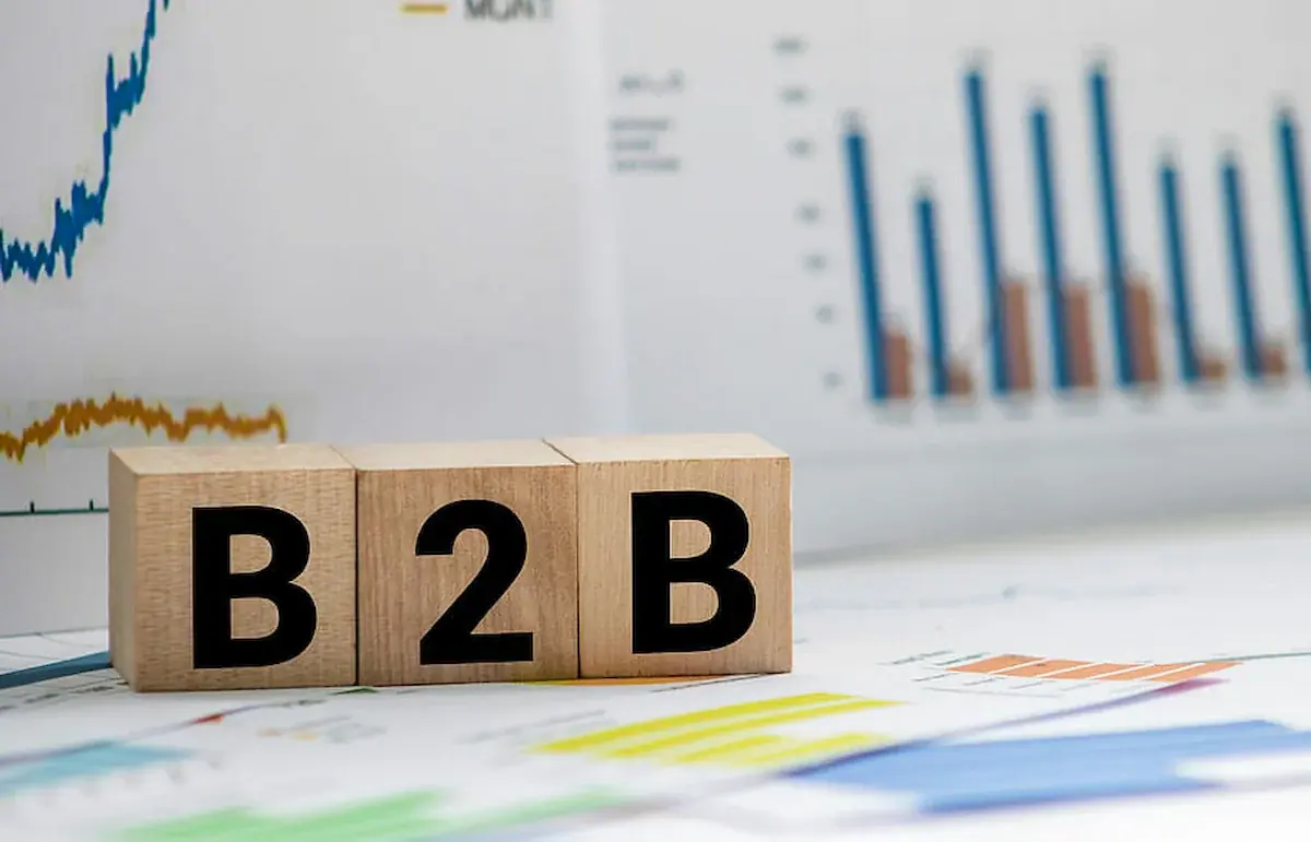 Studiu de caz: Scalarea generării de Lead-uri B2B prin campanii PPC - TechFlow Solutions